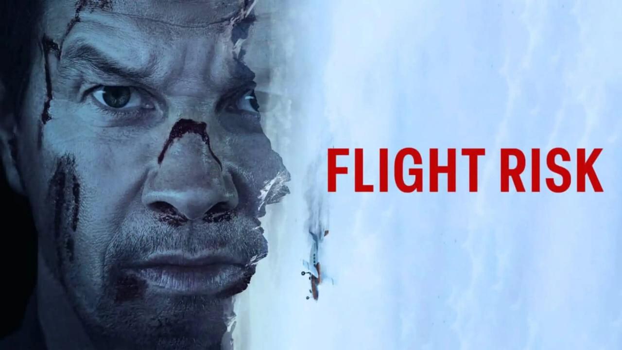 مشاهدة فيلم Flight Risk 2025 مترجم كامل HD بجودة عالية